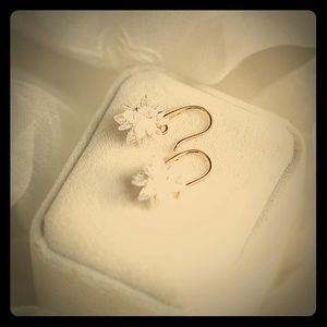 Gorgeous Crystal Flower Earrings